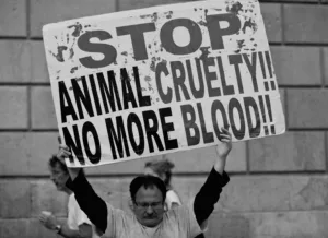 Protest
