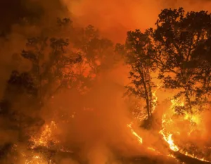 fire