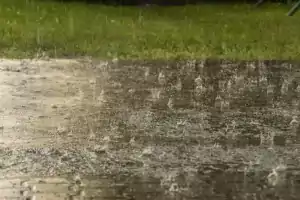 Heavy rains