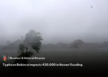 Over 430,000 people affected by typhoon Bebinca in Henan