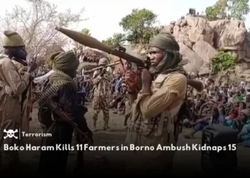 Boko Haram attacks farmers in Borno State