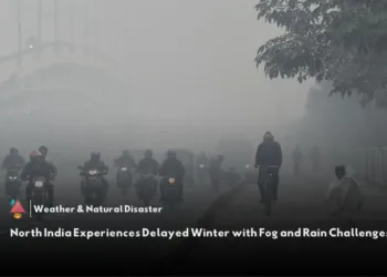 North India Fog Pollution and Rain Forecast