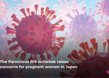Parvovirus B19 outbreak raises alarm in Japan