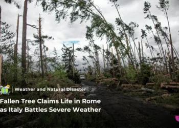 Fallen Tree in Rome Highlights Italy Weather Risks