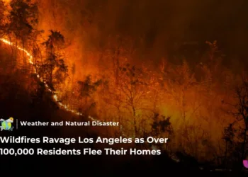 Five Dead as Wildfires Devastate Los Angeles